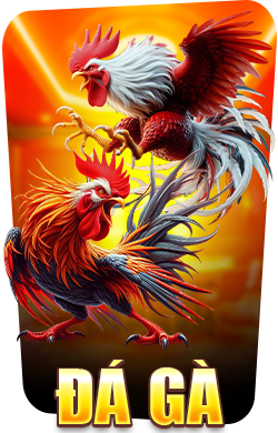 Đá Gà New88